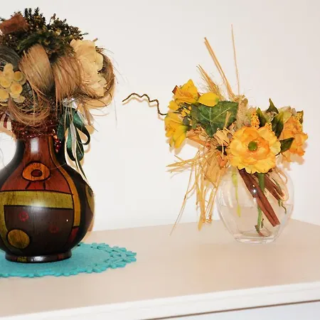 Salenterra Bed and Breakfast Alliste