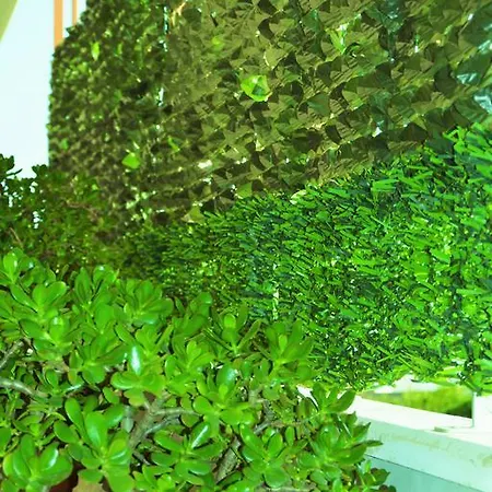 Salenterra Bed and Breakfast 3*