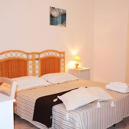 Salenterra 알리스테